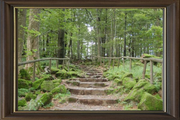 Foto vom Rückblick 2008