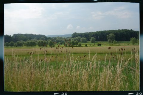 Foto vom Rückblick 2018
