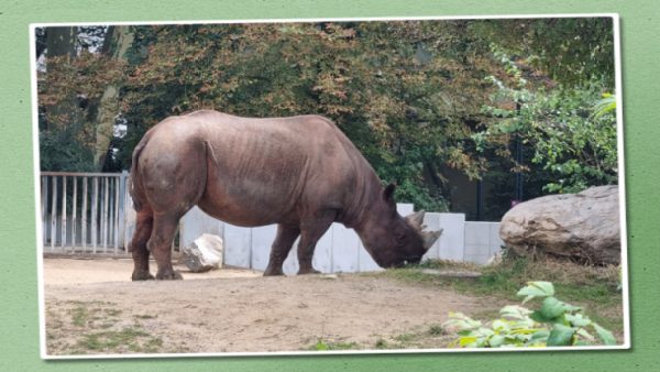 Foto vom Rückblick 2024
