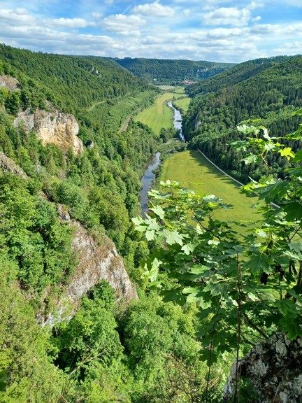 Foto vom Rückblick 2025