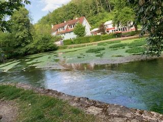Foto vom Rückblick 2025